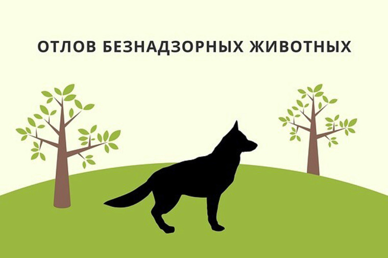 31 марта 2025 г. в с.Константиновка Ромодановского района был осуществлен отлов животных без владельцев.